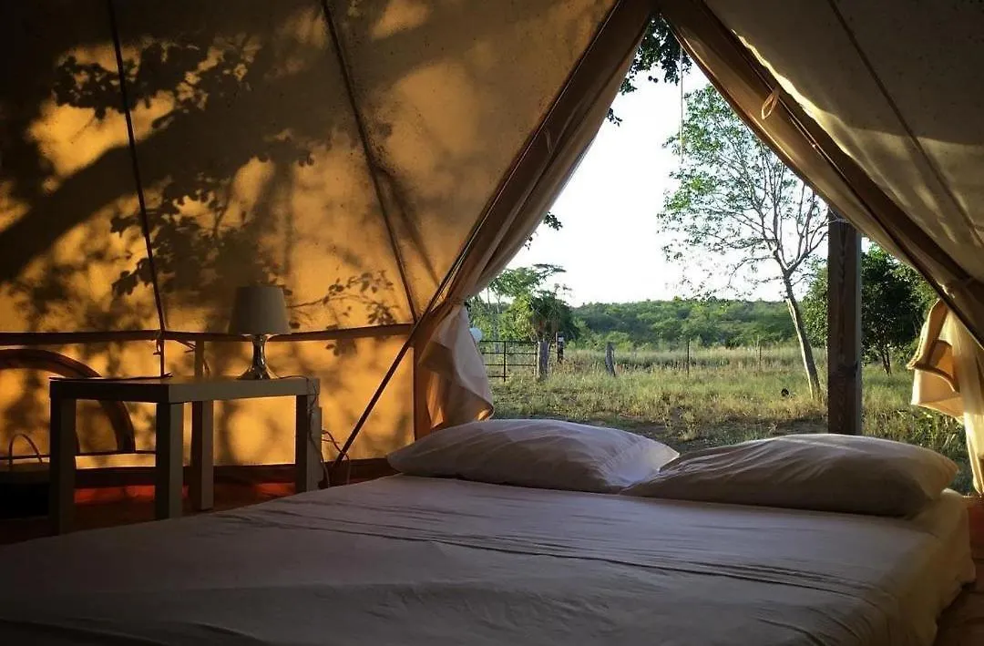 Luxury tent Pitahaya Glamping Hotel Cabo Rojo