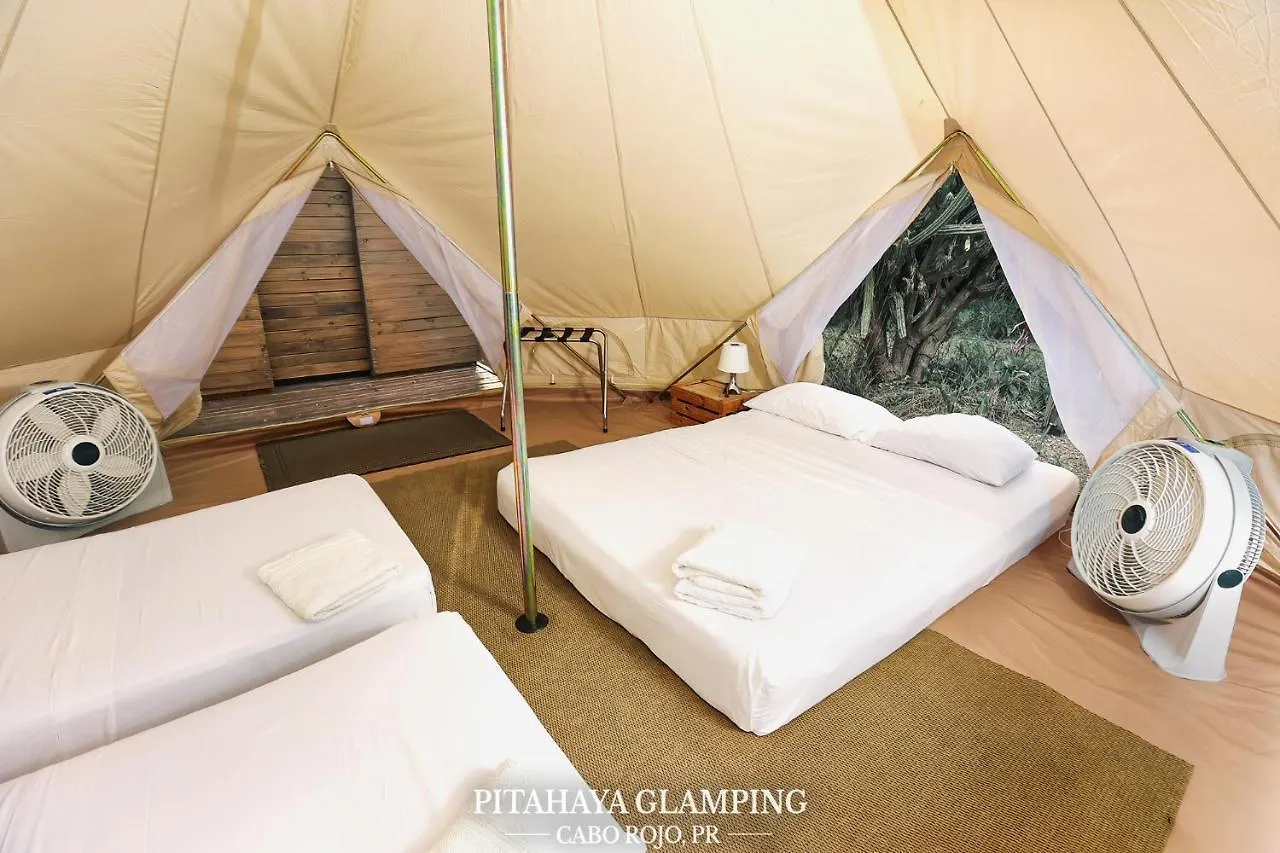 Pitahaya Glamping Hotel Cabo Rojo Luxury tent